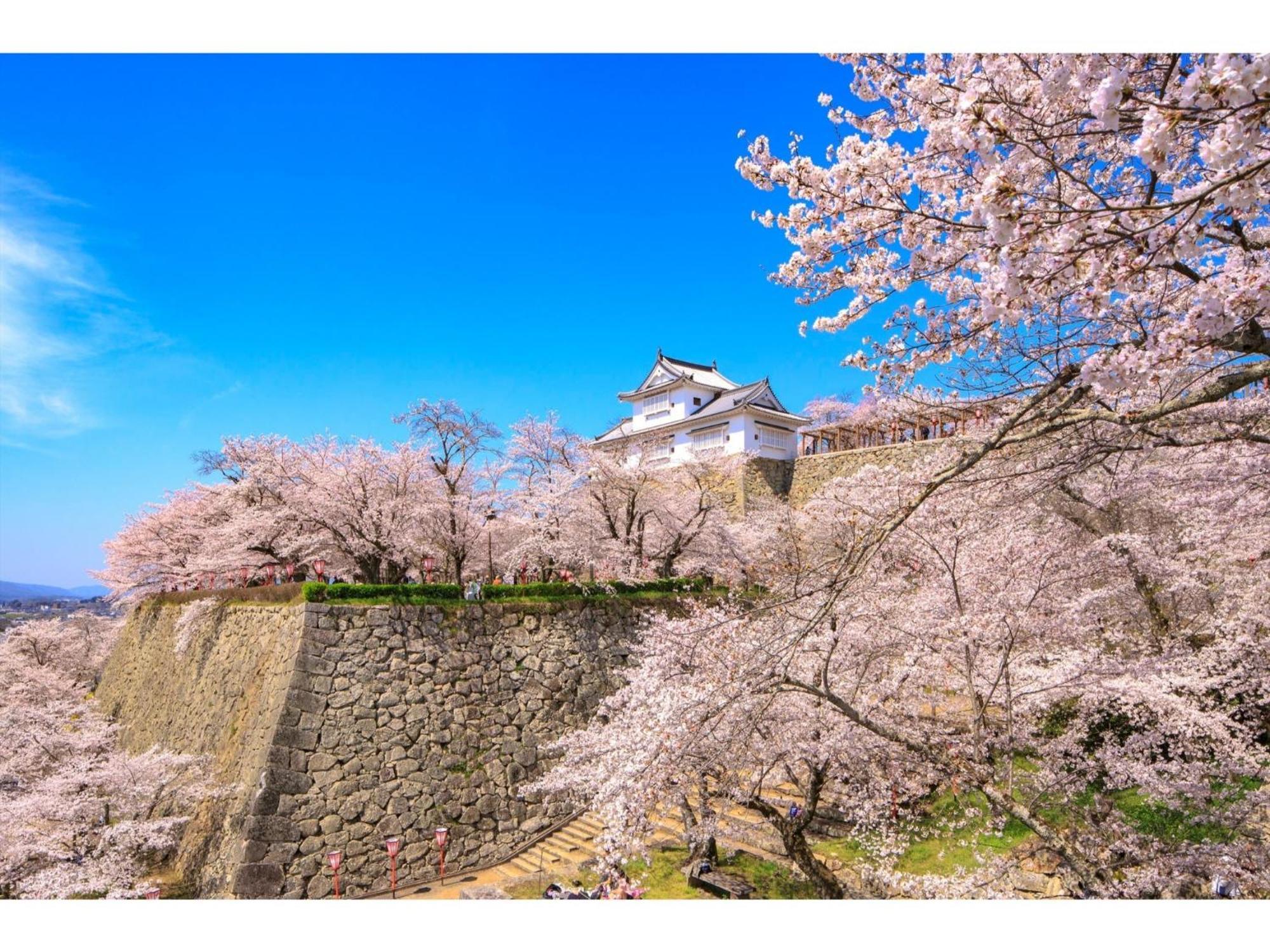 Tsuyama Kakuzan Hotel - Vacation Stay 75701V Eksteriør bilde